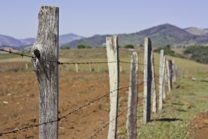 Barb Wire Fence on Rural Land