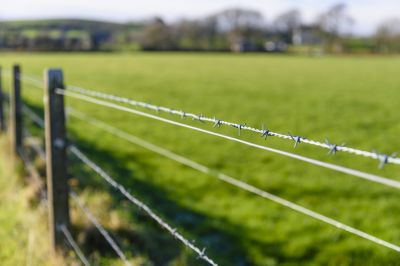 Experienced Fencing Contractors