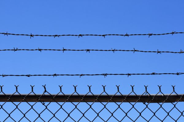Barb Wire Fence Restoration